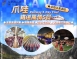 C26:【 雅加達 鐵道風情 】 全景 景觀列車 、 雅萬高鐵、 白色牛奶湖、 安格隆竹樂器村 、全程五 星酒店 5 天